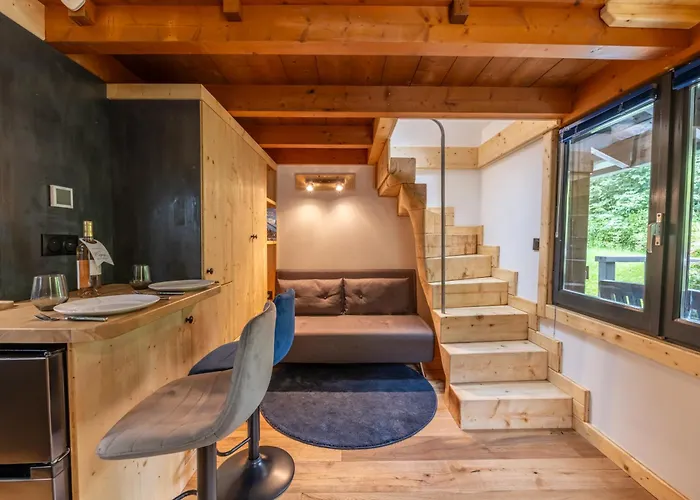 Petit Du Mont Blanc - Happy Appartement Chamonix